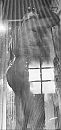 Inzepen, foto 416x881, 4 reacties, 3 stemmen