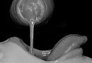 Is lekker spul, foto 1097x765, 6 reacties, 18 stemmen