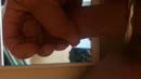 Je maakt me lekker geil, film 00:00:00, 1 reacties, 4 stemmen