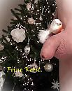 Kerstvogel. Fijne Kerst., foto 720x904, 5 reacties, 8 stemmen