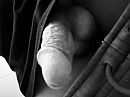Kiekeboe …, foto 3088x2316, 0 reacties, 1 stemmen