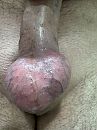 Kijk hem lekker strak staan, foto 3000x4000, 1 reacties, 3 stemmen