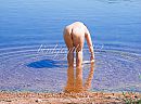 Kleine wasjes grote wasjes...., foto 2832x2114, 12 reacties, 71 stemmen