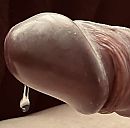 Kut,, foto 822x814, 5 reacties, 11 stemmen
