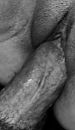 Laatste...., foto 770x1328, 7 reacties, 24 stemmen
