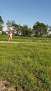 Langs de weg, foto 2160x3840, 3 reacties, 11 stemmen