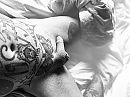 Lazy morning, foto 4000x3000, 1 reacties, 7 stemmen