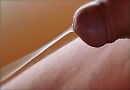 Le Sexe, foto 1726x1200, 4 reacties, 7 stemmen