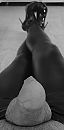 Leggings & heelz 3, foto 493x1000, 0 reacties, 2 stemmen