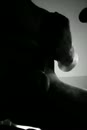 Lekker met de ring om, film 00:00:20, 4 reacties, 14 stemmen