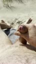 Lekker op het strand, film 00:00:00, 16 reacties, 41 stemmen