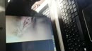 Lekker rukken en klaarkomen, film 00:00:00, 2 reacties, 9 stemmen