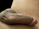 Lekker ..?, foto 4000x3000, 0 reacties, 2 stemmen