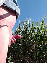 Lekker, foto 2448x3264, 0 reacties, 5 stemmen