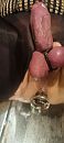 Lekker diep., foto 1801x4000, 0 reacties, 9 stemmen