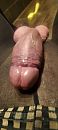 Lekker hard afgebonden., foto 1801x4000, 2 reacties, 6 stemmen
