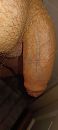 Lekker hard, foto 1800x4000, 2 reacties, 4 stemmen