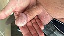 Lekker in de hand, foto 3840x2160, 2 reacties, 6 stemmen