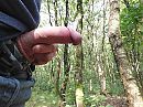 Lekker int bos, foto 720x540, 7 reacties, 14 stemmen