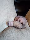 Lekker naakt in huis 698, foto 3000x4000, 0 reacties, 2 stemmen