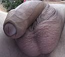 Lekker ontspannen, foto 701x611, 4 reacties, 13 stemmen