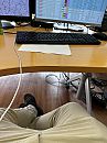 Lekker saai op de zaak, foto 3000x4000, 0 reacties, 4 stemmen