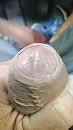 Lekker vocht, foto 2250x4000, 1 reacties, 8 stemmen
