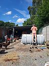 Lekker weertje mmmmm, foto 3000x4000, 4 reacties, 18 stemmen