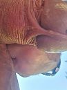 Lekker, foto 2208x2944, 6 reacties, 6 stemmen