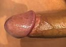 Lekkere harde eikel .. iemand?, foto 1179x852, 2 reacties, 4 stemmen