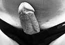 Lekkere pik …, foto 1178x829, 1 reacties, 1 stemmen