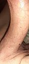 Libido, foto 1845x4000, 1 reacties, 1 stemmen