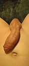 Lick,suck,and ride it, foto 1800x4000, 2 reacties, 10 stemmen