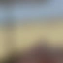 Lieve Belgische vrienden…., film 00:00:24, 8 reacties, 56 stemmen