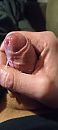 Like?, foto 1800x4000, 0 reacties, 5 stemmen