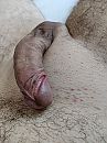 Lkkr opgewonden, foto 3000x4000, 14 reacties, 20 stemmen