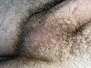 Looking furry good?, foto 4000x3000, 3 reacties, 5 stemmen