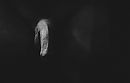 Lurking in the dark, foto 1108x717, 0 reacties, 1 stemmen