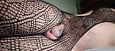 Maak me geiler, foto 3280x1476, 2 reacties, 10 stemmen