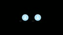 Man wilde zaad zien op skype, film 00:00:00, 16 reacties, 40 stemmen