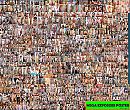 Mega faggot poster., foto 2048x1736, 4 reacties, 12 stemmen