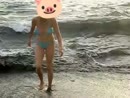 Meine hüpfenden Bikinieuter, film 00:00:00, 12 reacties, 59 stemmen