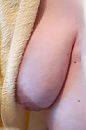 Meine tief hängenden Euter, foto 339x509, 10 reacties, 45 stemmen