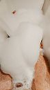 Metime, foto 2160x3840, 0 reacties, 0 stemmen