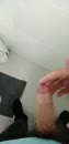 Mijn Prik, film 00:00:09, 1 reacties, 7 stemmen