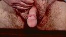 Mijn ...., foto 640x360, 0 reacties, 4 stemmen
