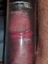 Mmm., foto 3000x4000, 5 reacties, 3 stemmen