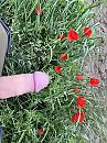 Mmmmmmmm, foto 1090x1454, 4 reacties, 10 stemmen