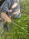 Mmmmmmmm, foto 1090x1454, 8 reacties, 18 stemmen