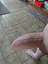 Mooie speelgoed of niet, foto 3000x4000, 1 reacties, 4 stemmen